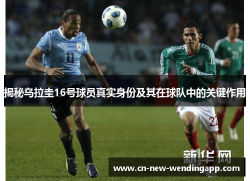 揭秘乌拉圭16号球员真实身份及其在球队中的关键作用