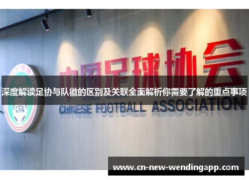 深度解读足协与队徽的区别及关联全面解析你需要了解的重点事项