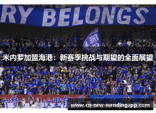 米内罗加盟海港：新赛季挑战与期望的全面展望