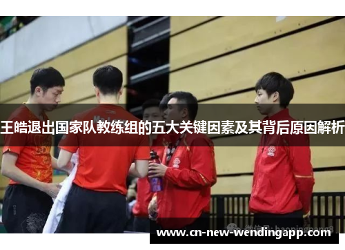 王皓退出国家队教练组的五大关键因素及其背后原因解析